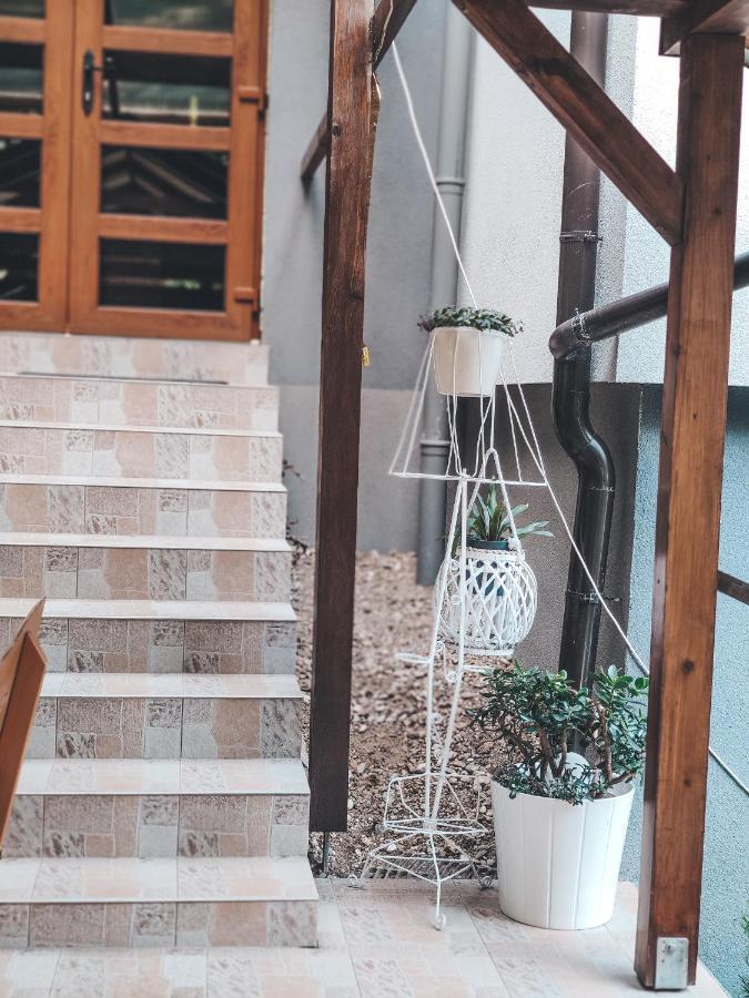 Velika Villa-Apartments Bognar מראה חיצוני תמונה